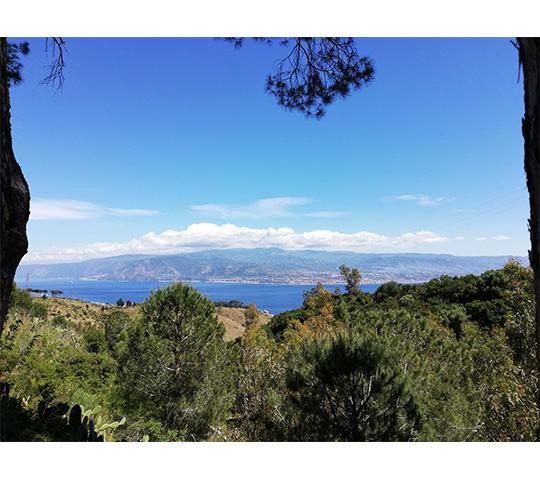 DOMENICA